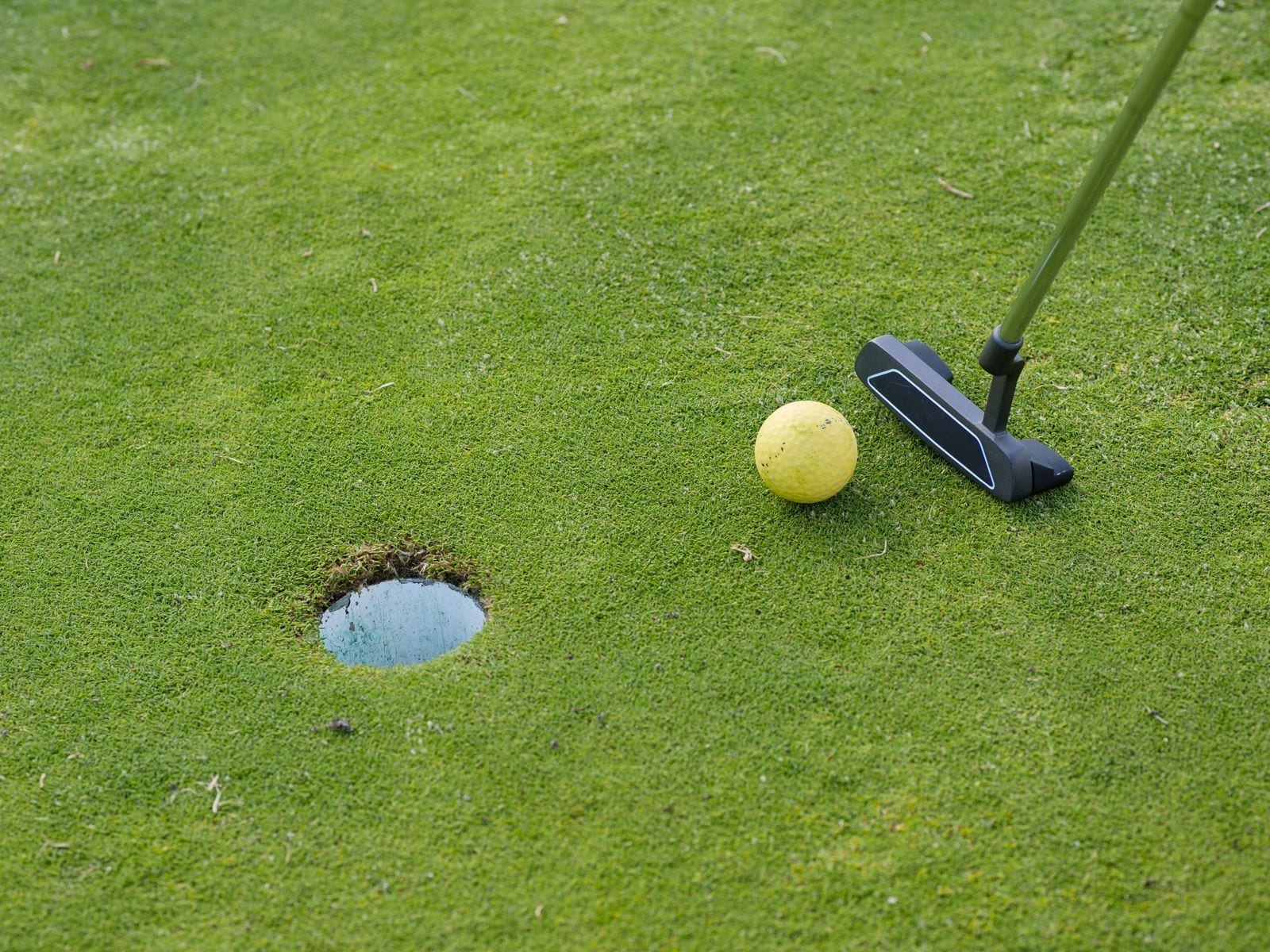 Golf ball and putter near the hole on a putting green