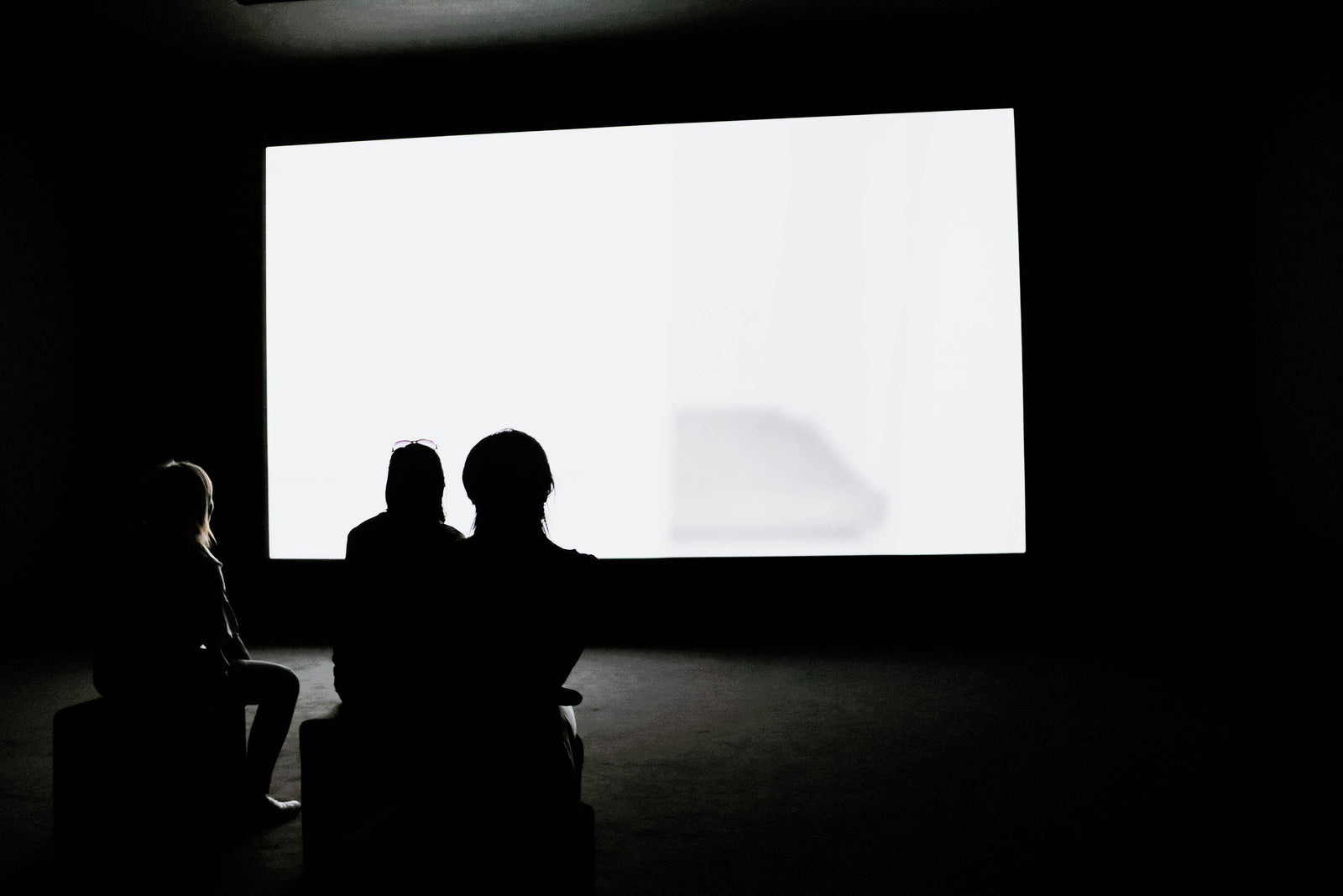 Viewers seated in a dark room facing a large glowing projected screen