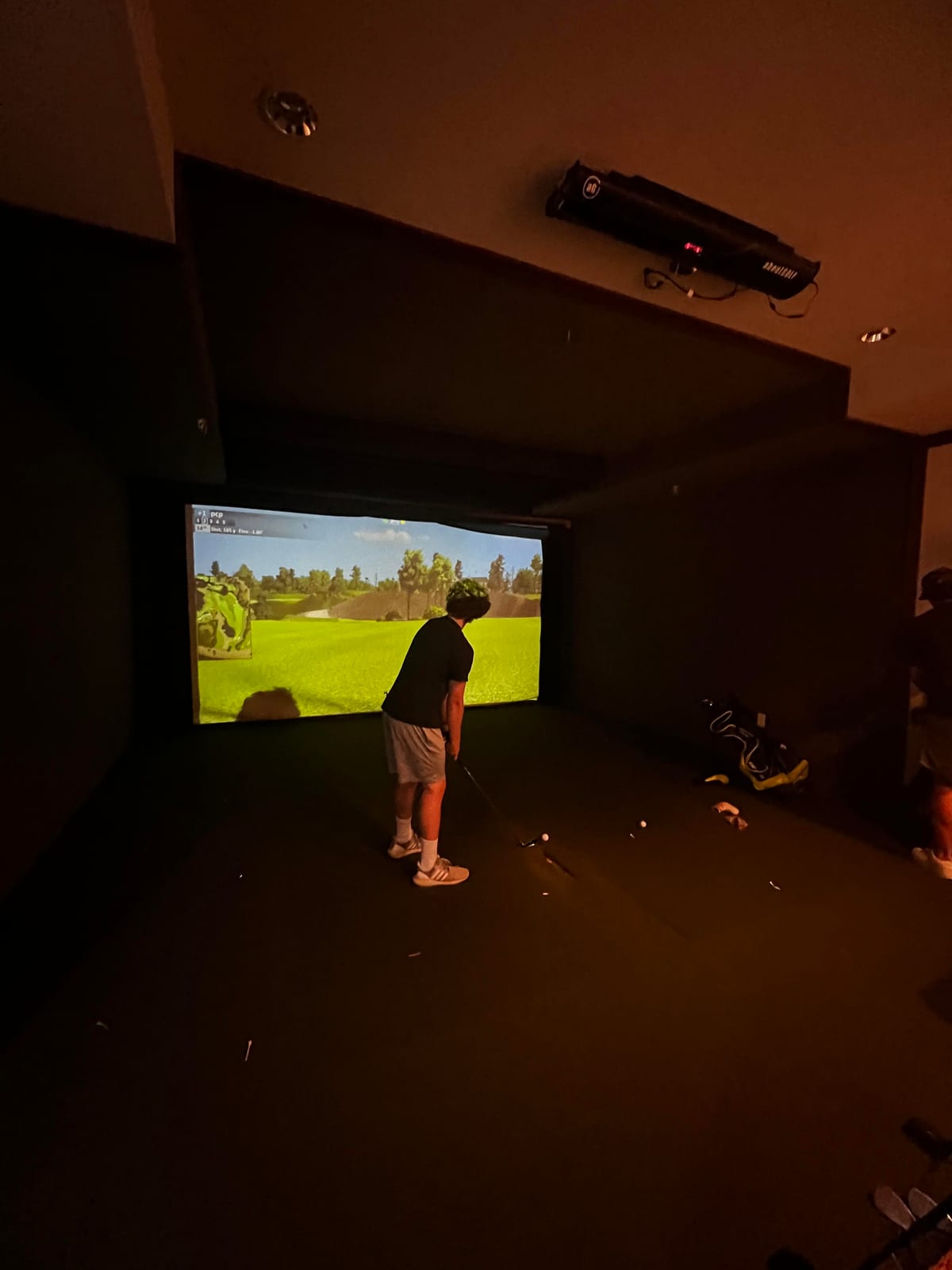 A virtual golf simulator screen displaying a projected fairway on a home bay's impact screen.