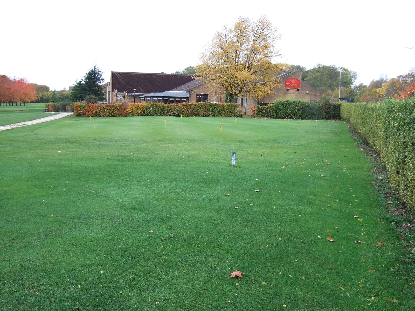 A practice putting green with marker flags at a golf course